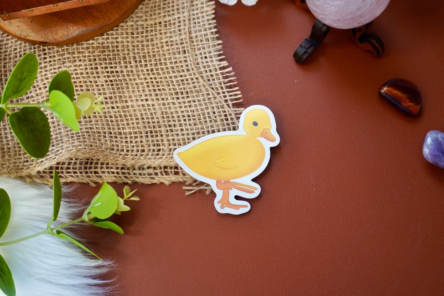 Little duckling