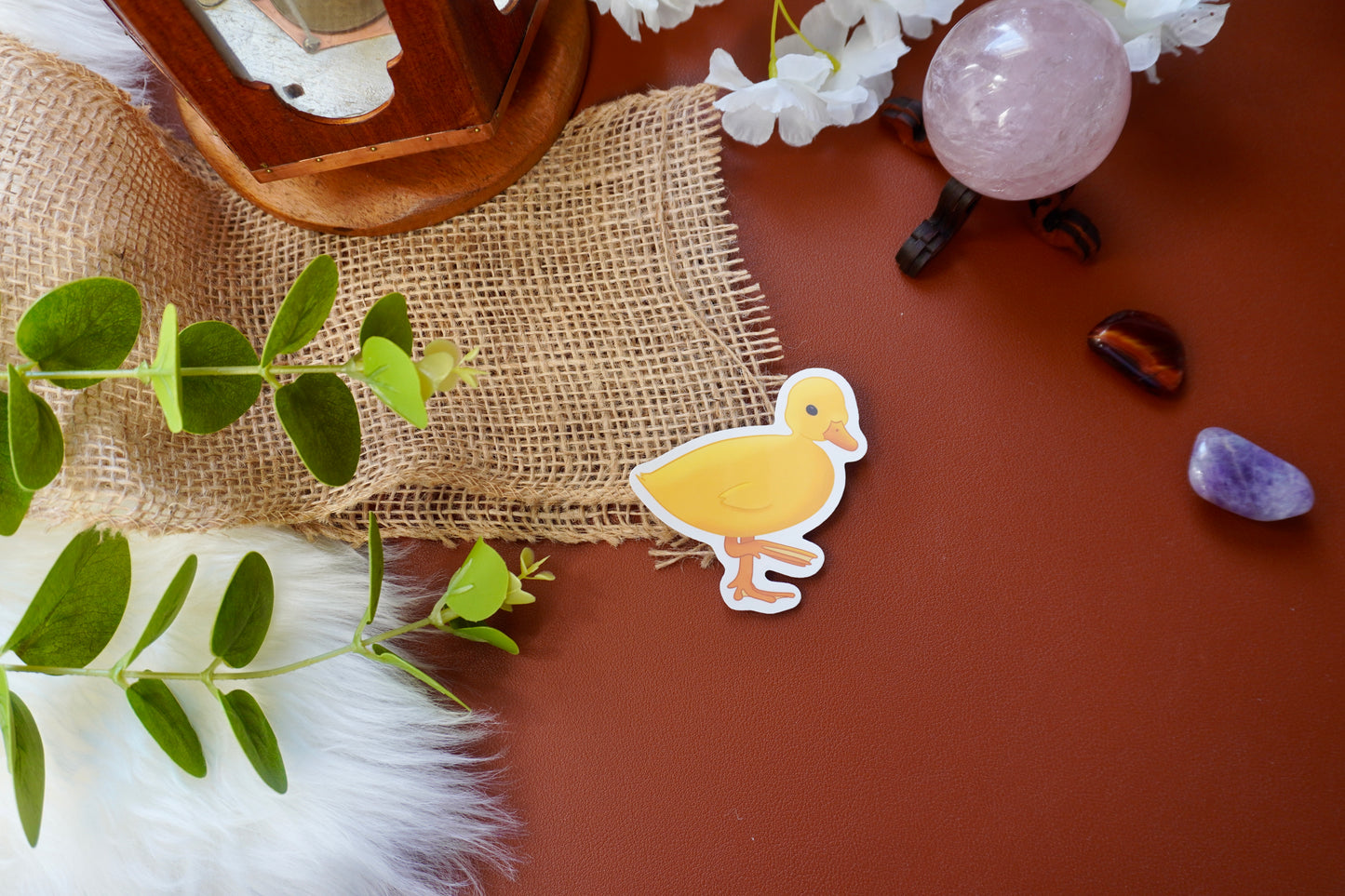 Little duckling