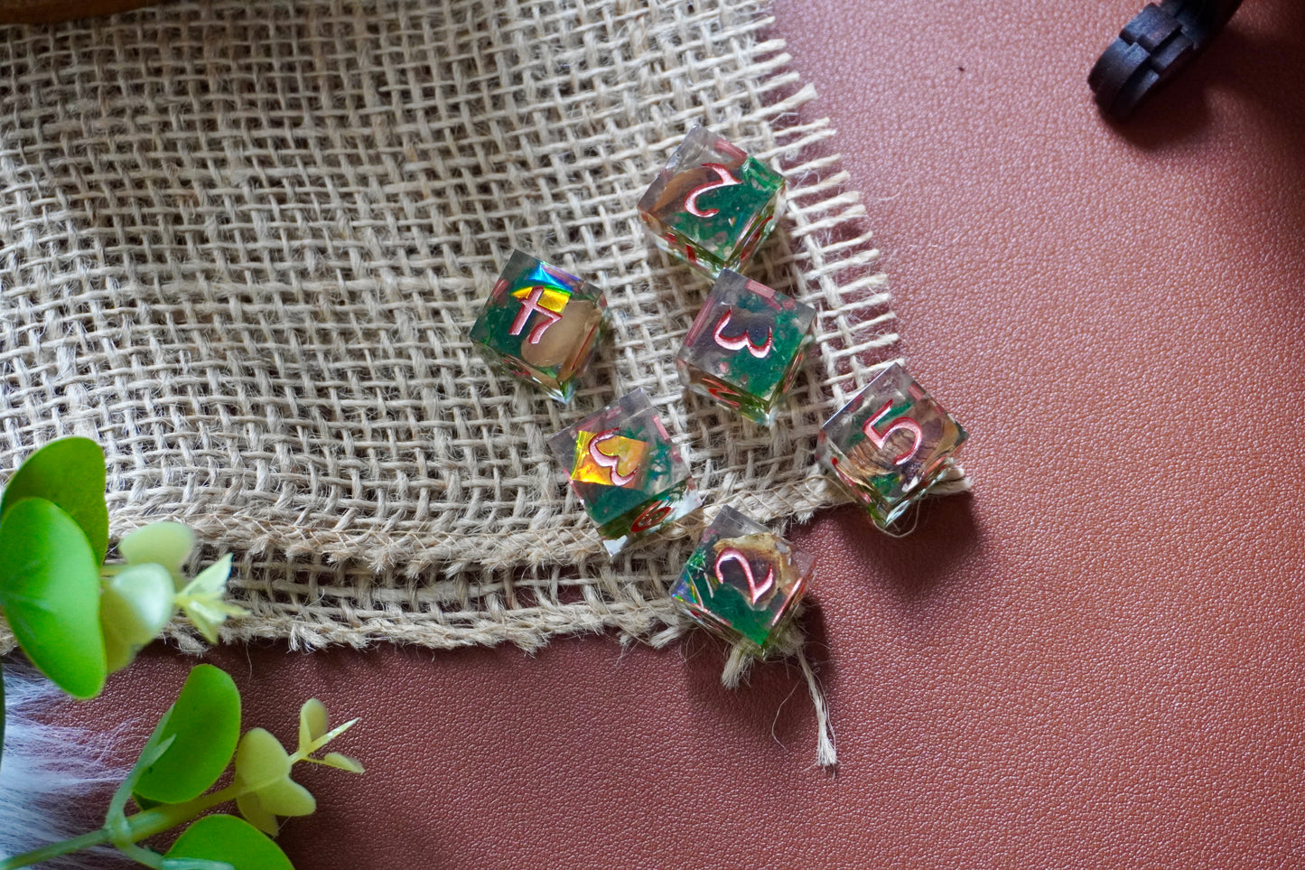 Fairy Circle D6 set of 6