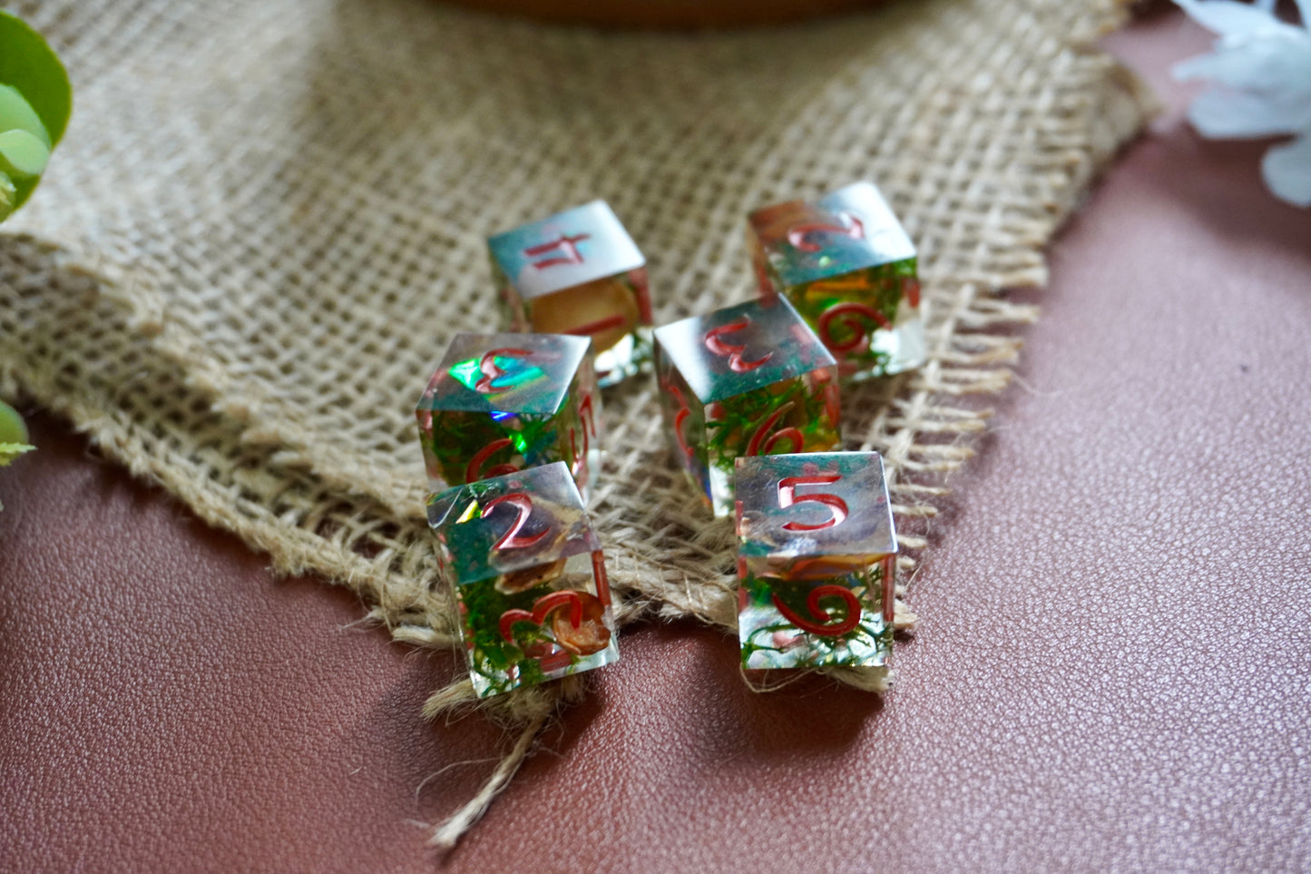 Fairy Circle D6 set of 6