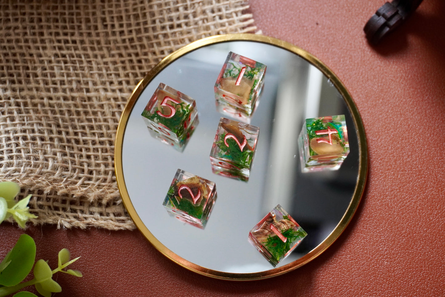 Fairy Circle D6 set of 6