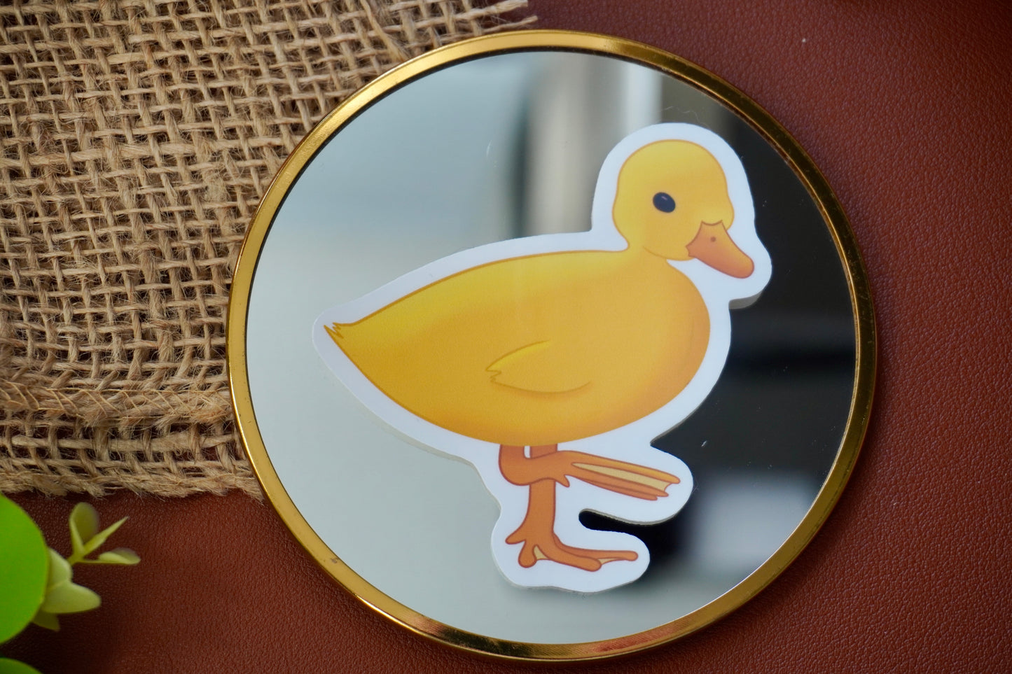 Little duckling