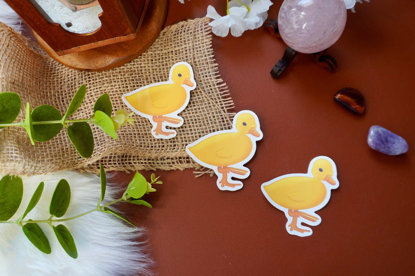 Little duckling