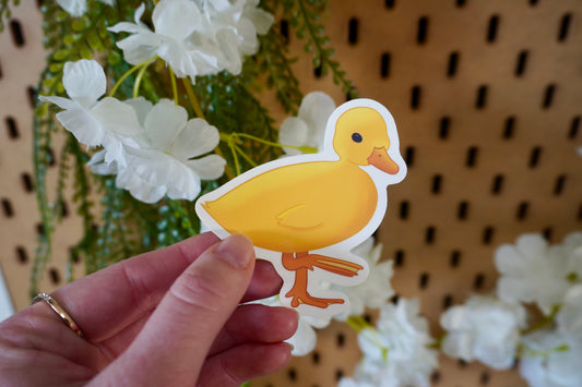 Little duckling