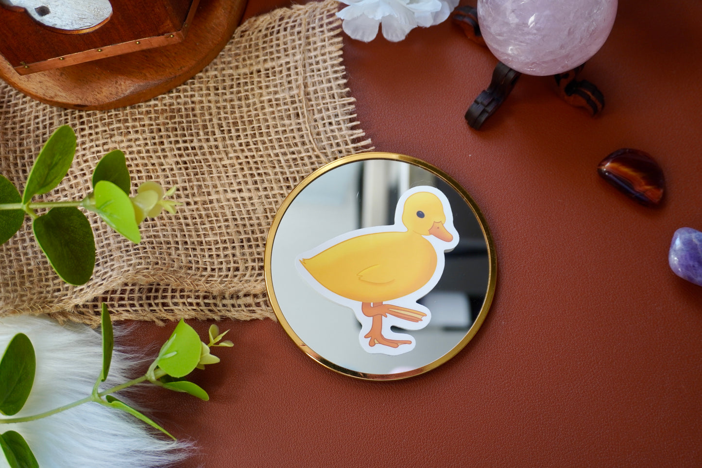 Little duckling