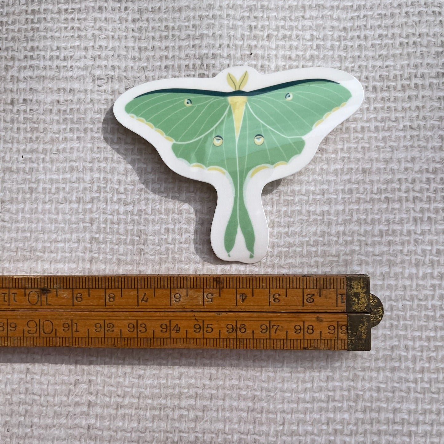 Luna Moth