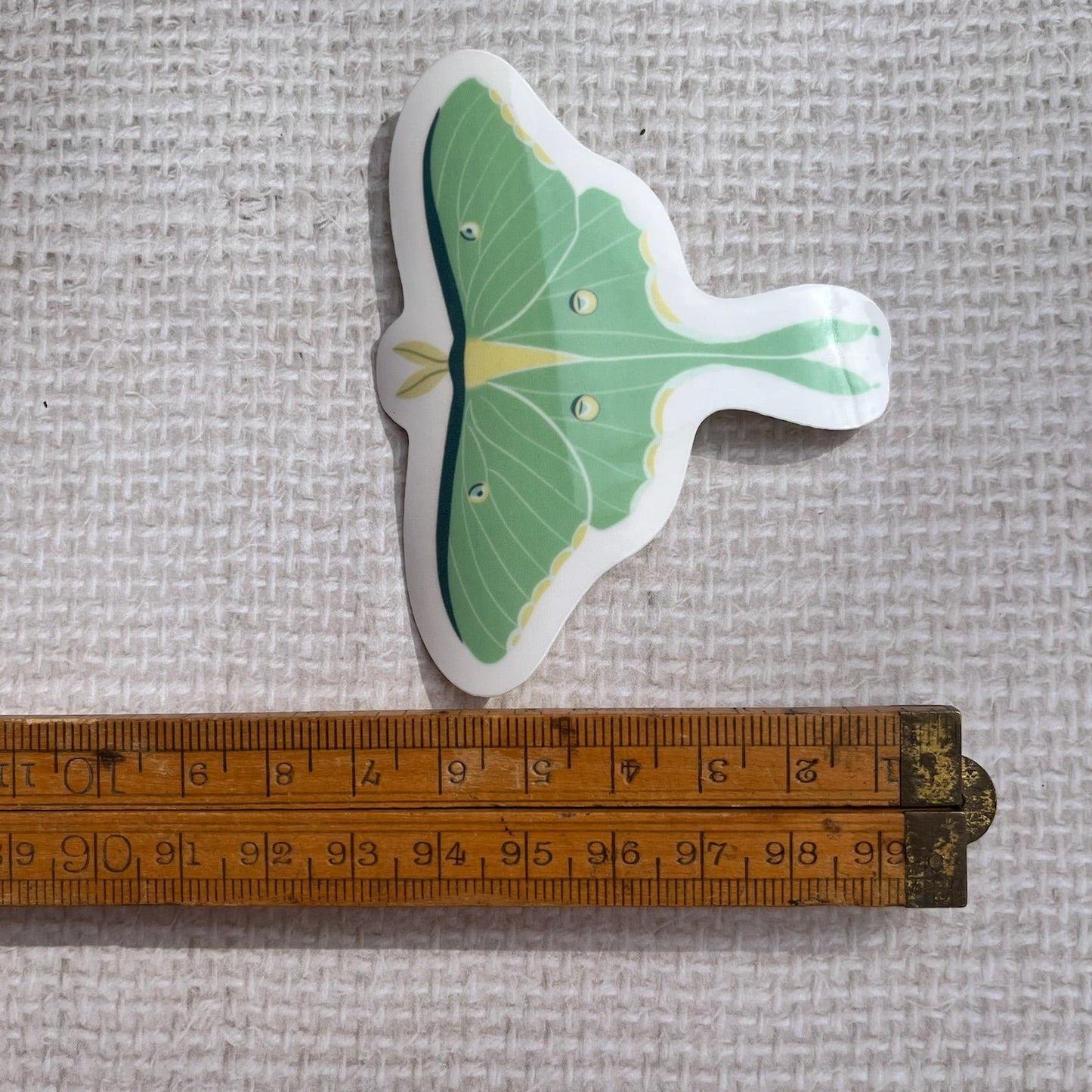 Luna Moth