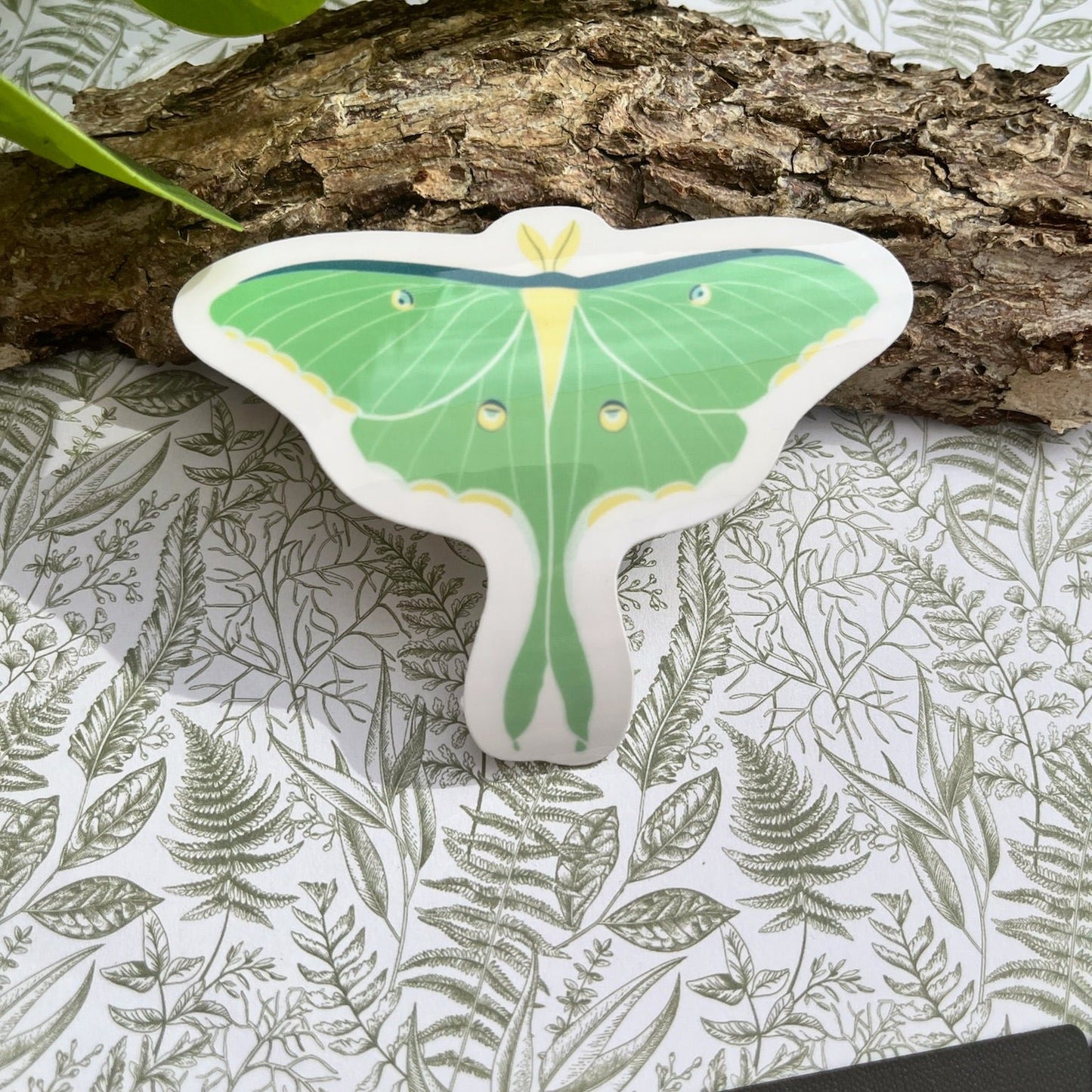 Luna Moth