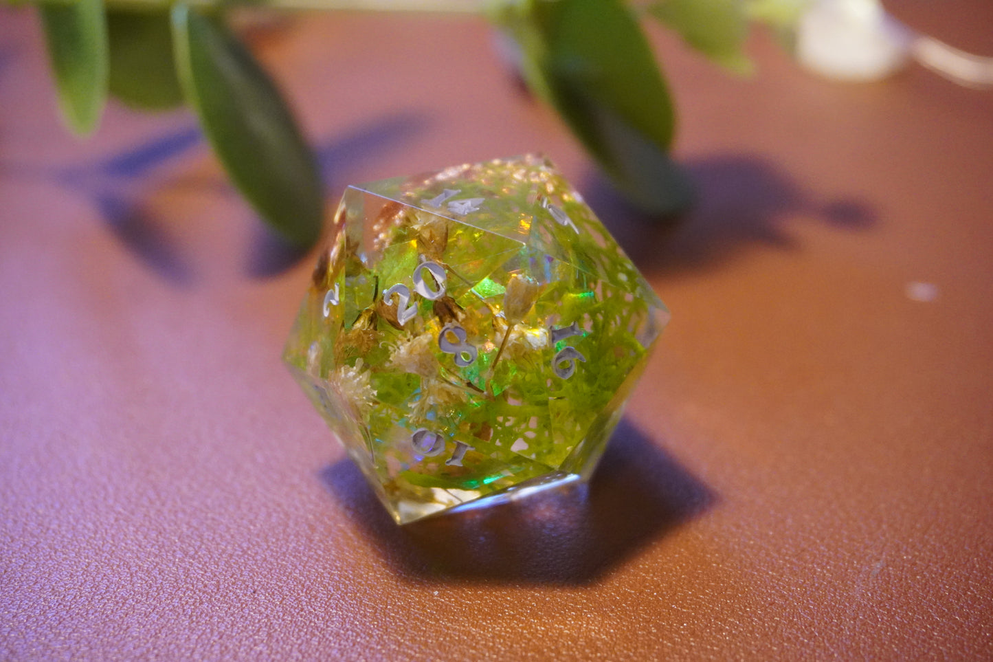 Baby’s breath D20 chunk